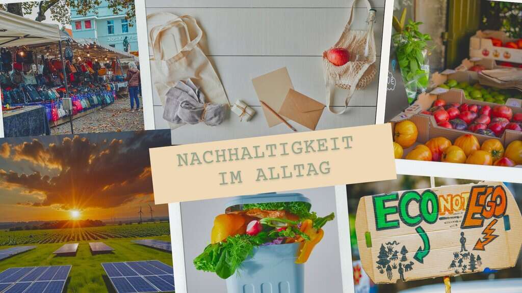 Nachhaltigkeit im Alltag - Leaftodiscover