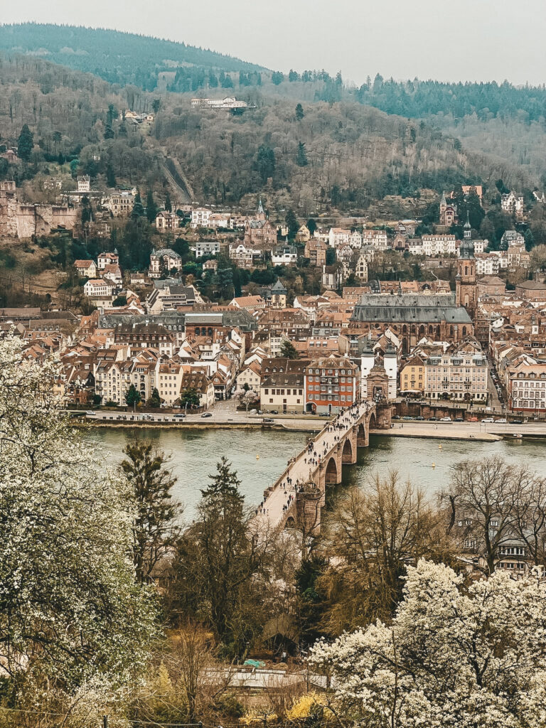 Mehr über den Artikel erfahren Die 12 besten Sehenswürdigkeiten in Heidelberg – Sehenswürdigkeiten, Tipps & Tricks und Aktivitäten in Heidelberg