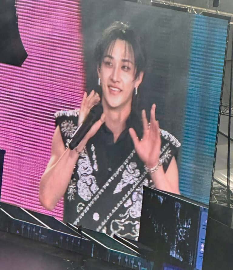 Mehr über den Artikel erfahren Stray Kids in Frankfurt 2025