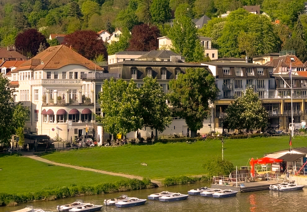 Neckarwiese Heidelberg.