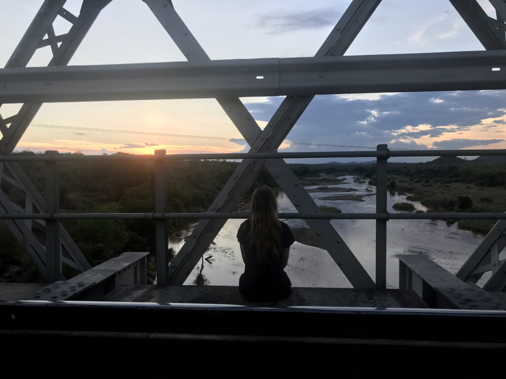 Wildlife Projekt Südafrika