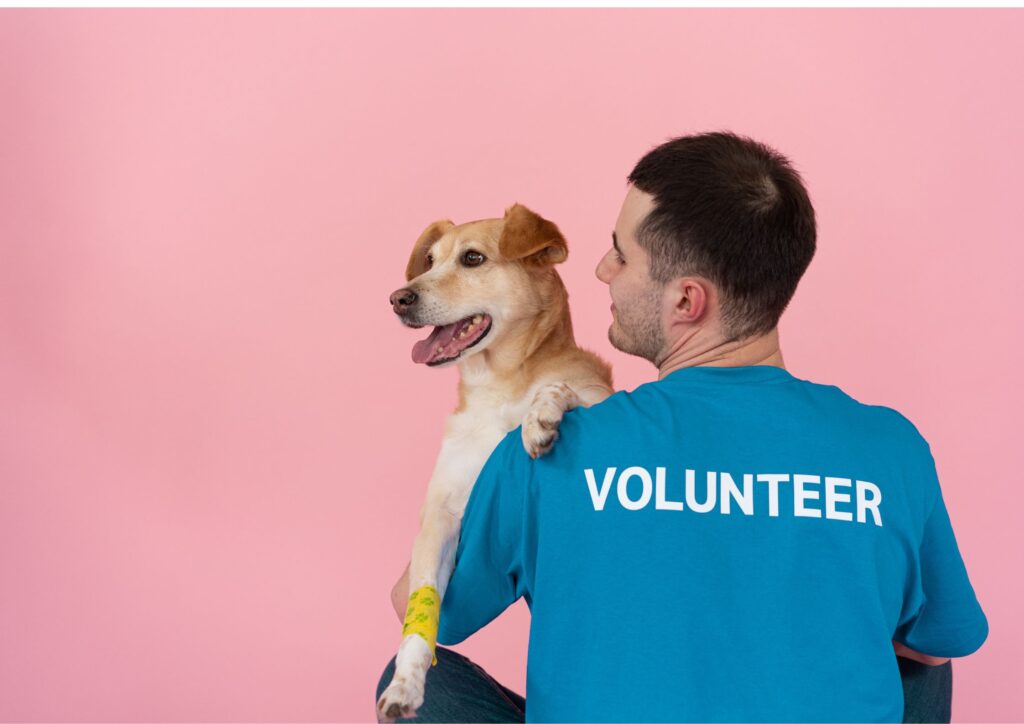 Volunteers