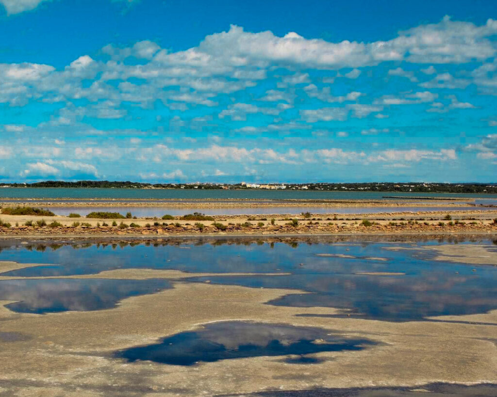 Naturpark Ses Salines & Estany Pudent