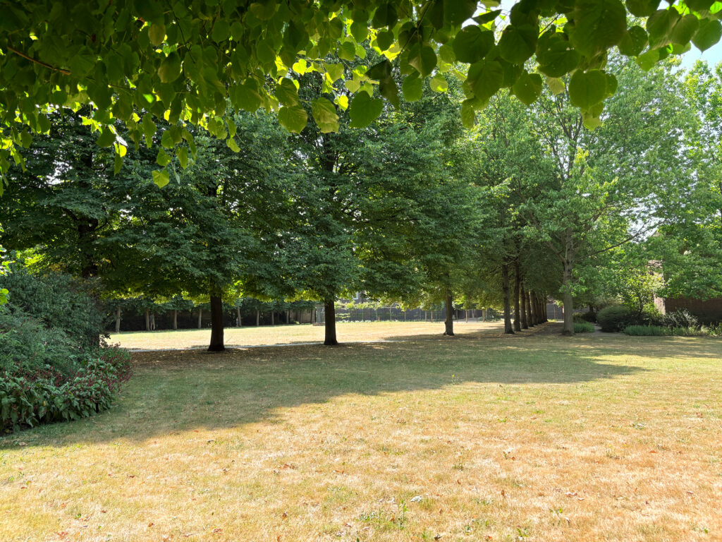 Stadtpark De Kartuis
